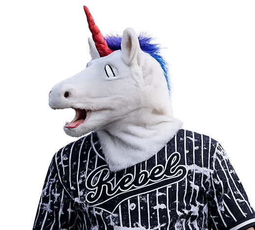 Mr. Unicorn (Xue Zhang) portrait
